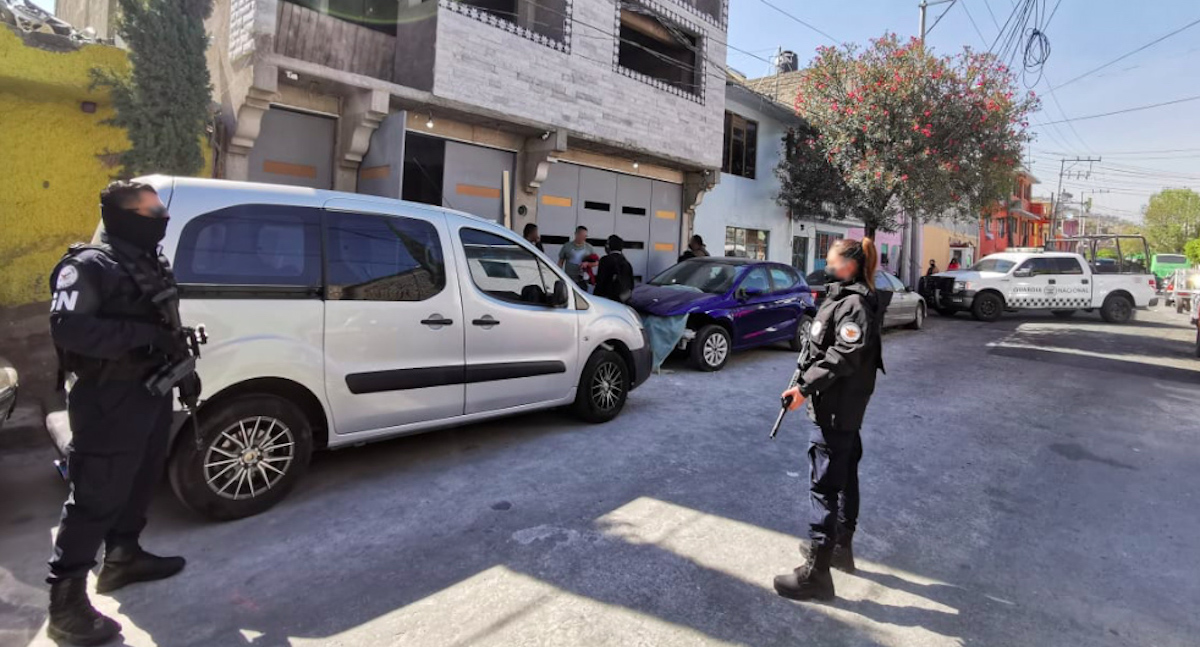 Guardia Nacional decomisa 15 mil animales en dos casas de la Ciudad de México
