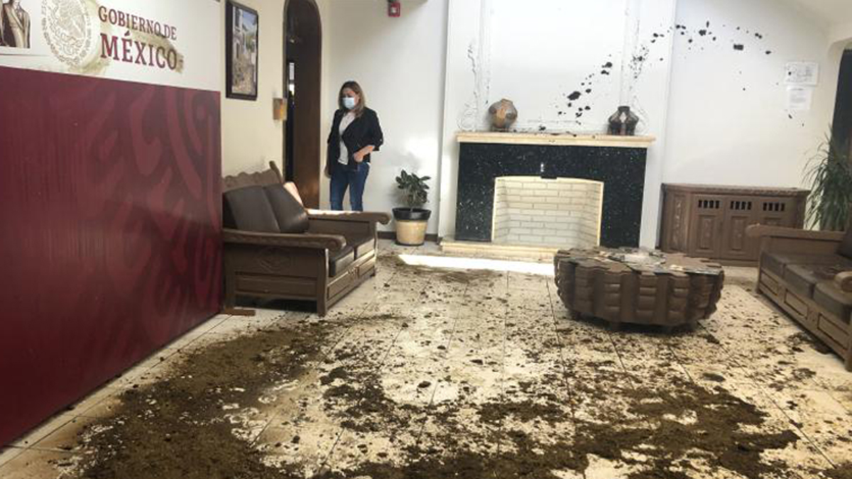 Productores de leche llenan de estiércol oficina de delegada de Bienestar en Chihuahua por falta de pago