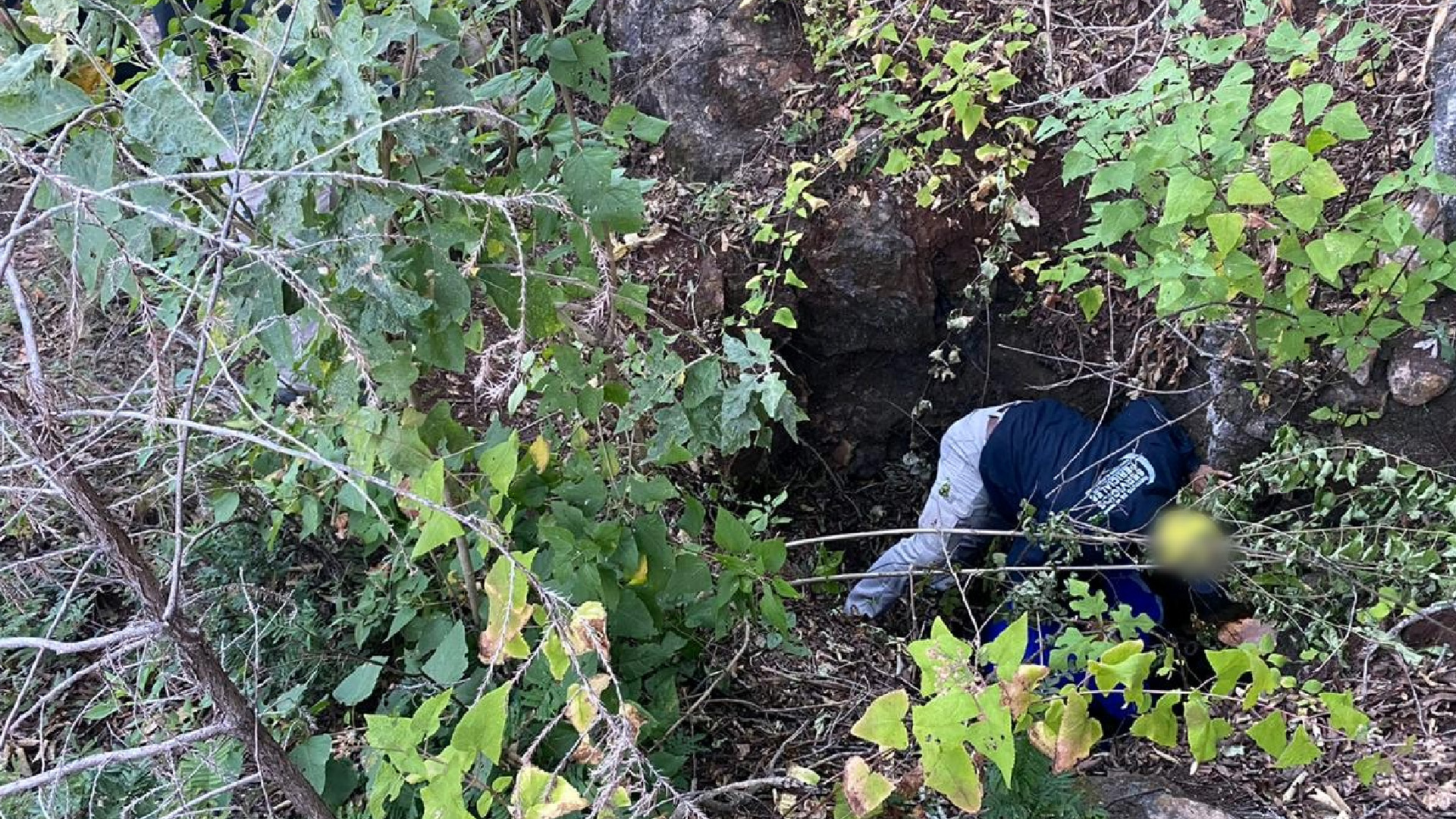 Autoridades hallan tres cadáveres en cueva de San Miguel Coatlán, Oaxaca