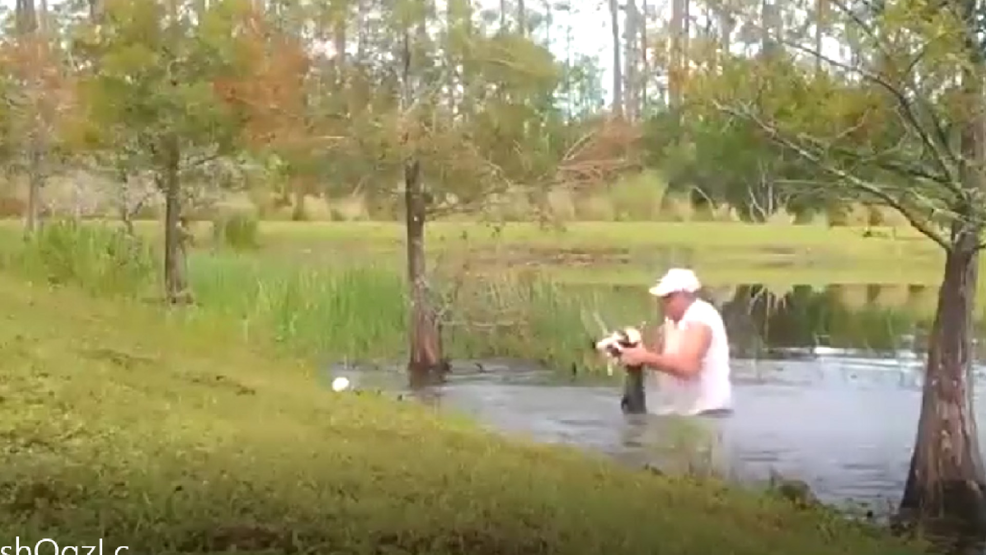 #Video Hombre salva de las fauces de cocodrilo a su perro en lago de Florida