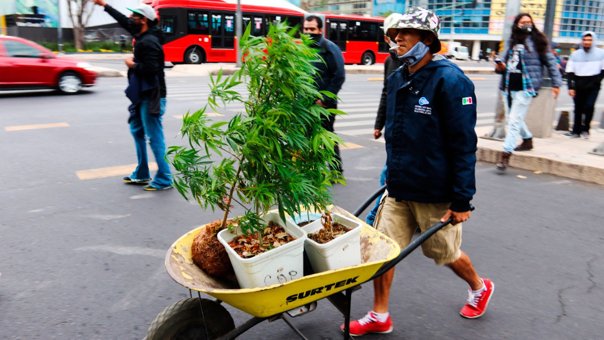 El narcotianguis de Ciudad de México