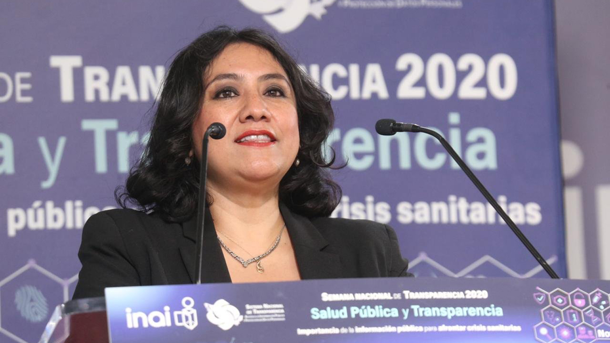 Crisis por COVID-19 vino como anillo al dedo a la 4T, afirma Irma Eréndira Sandoval