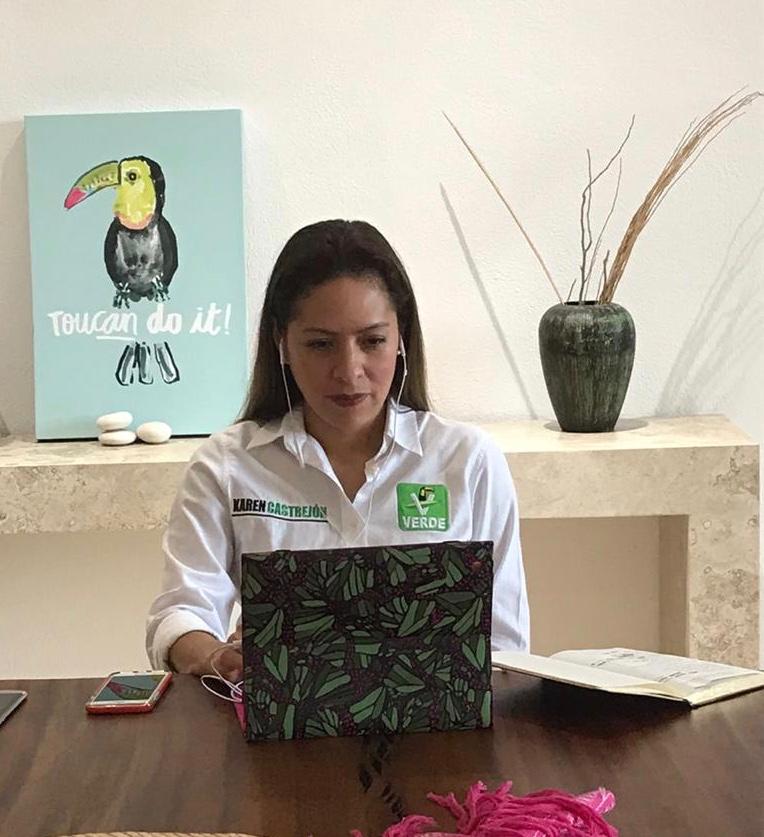 Pese a alianzas, el Partido Verde tiene identidad propia: Karen Castrejón