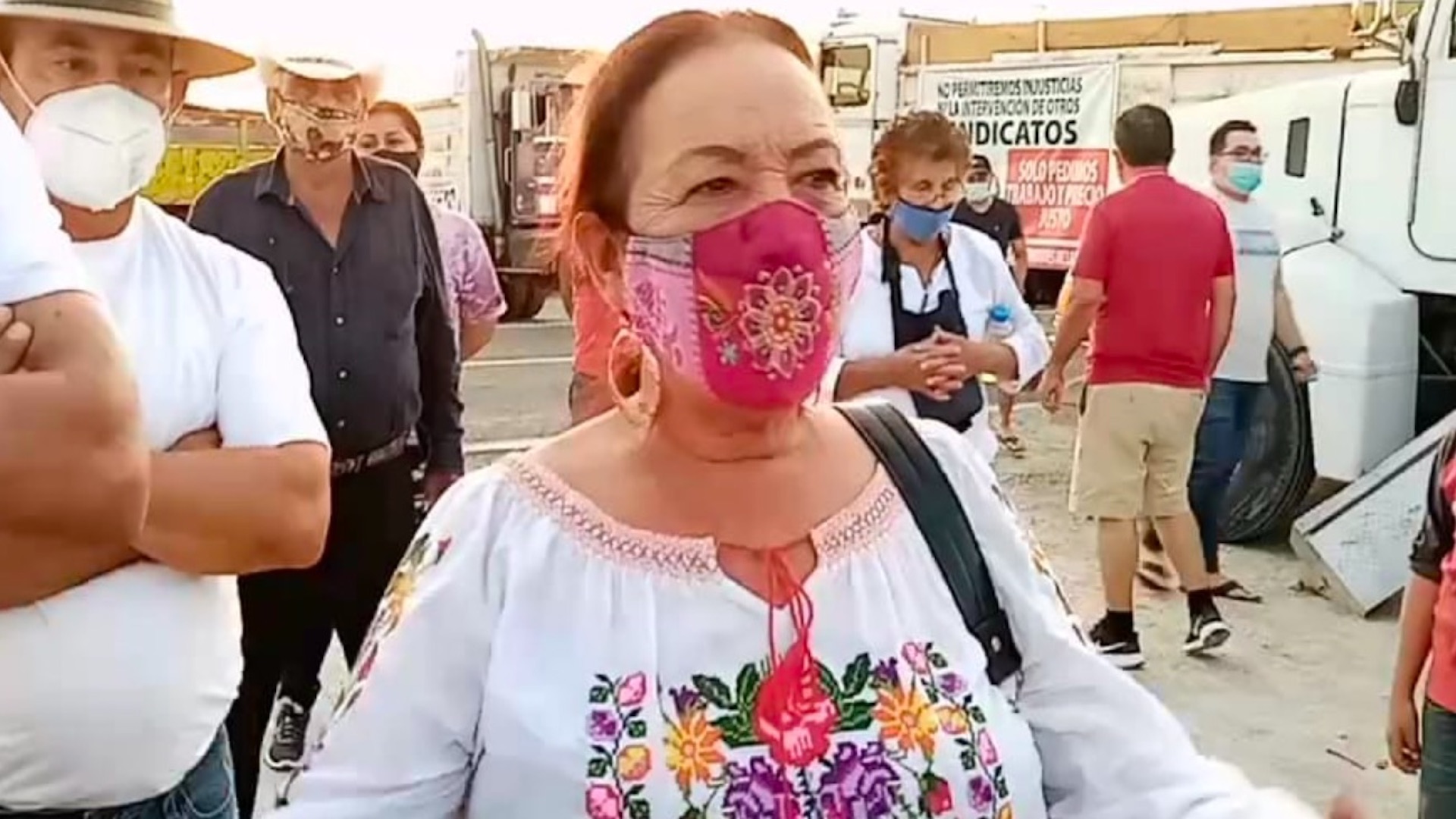 Senadora por Morena invita a foro para promover ‘producto milagro’ que, asegura, sirve como tratamiento contra el COVID-19