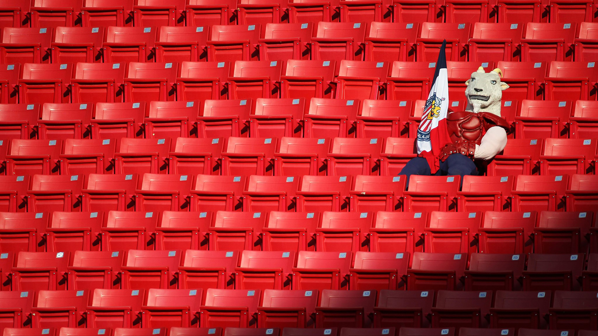 Estadios deberían reabrir hasta Semáforo Amarillo, recuerda López-Gatell