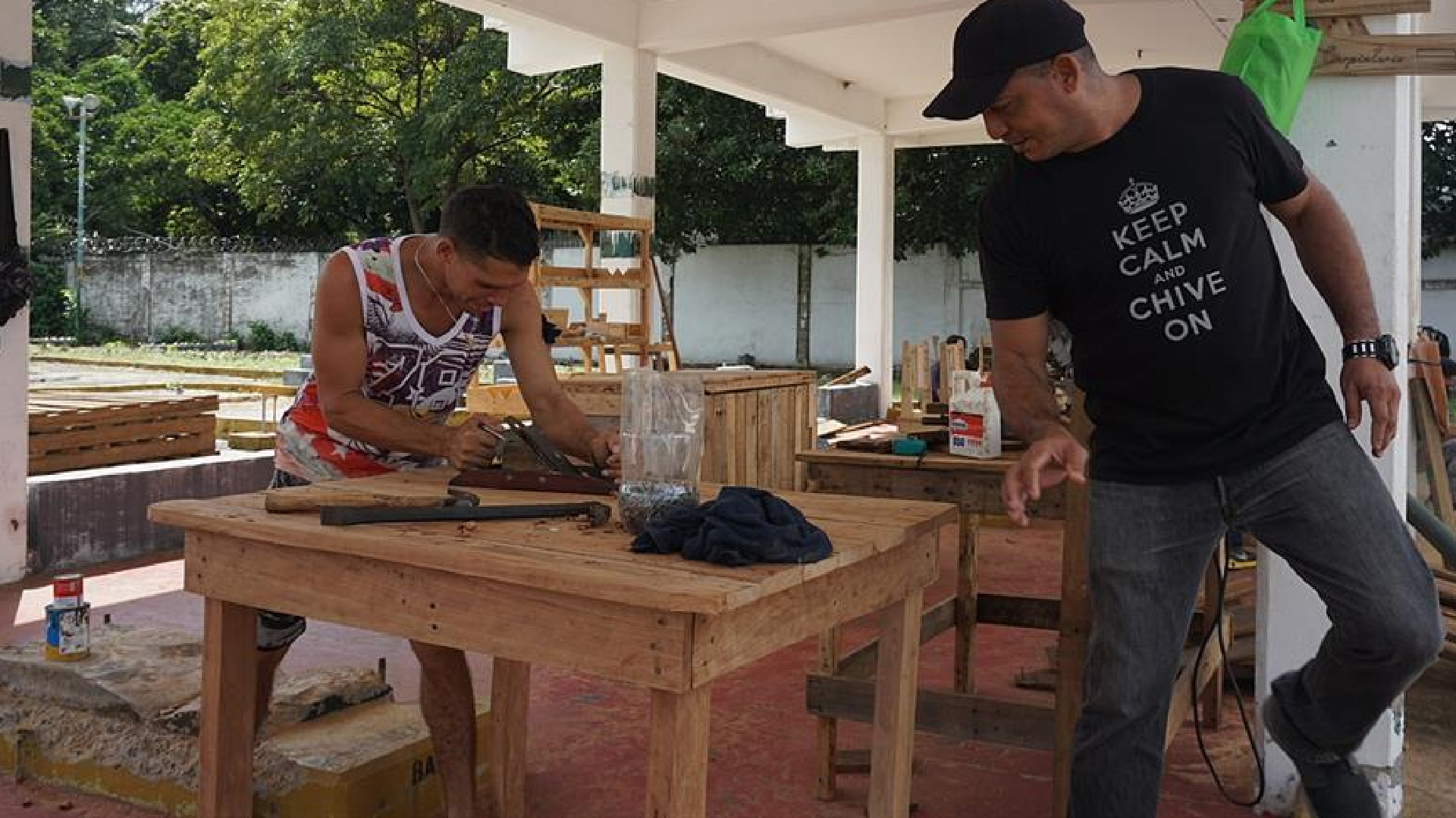 Migrantes varados en sureste de México hallan en el bambú una forma de subsistir - migrantes-varados-en-el-sureste-de-mexico-hallan-en-el-bambu-una-forma-de-vida-foto-efe