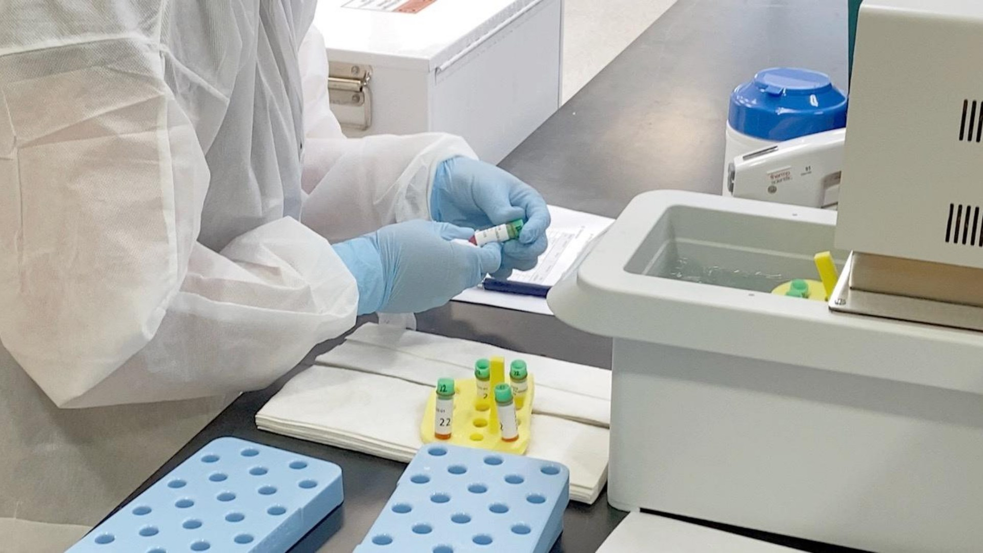 La OMS ve “prometedores” los resultados de la vacuna anti COVID-19 de Pfizer