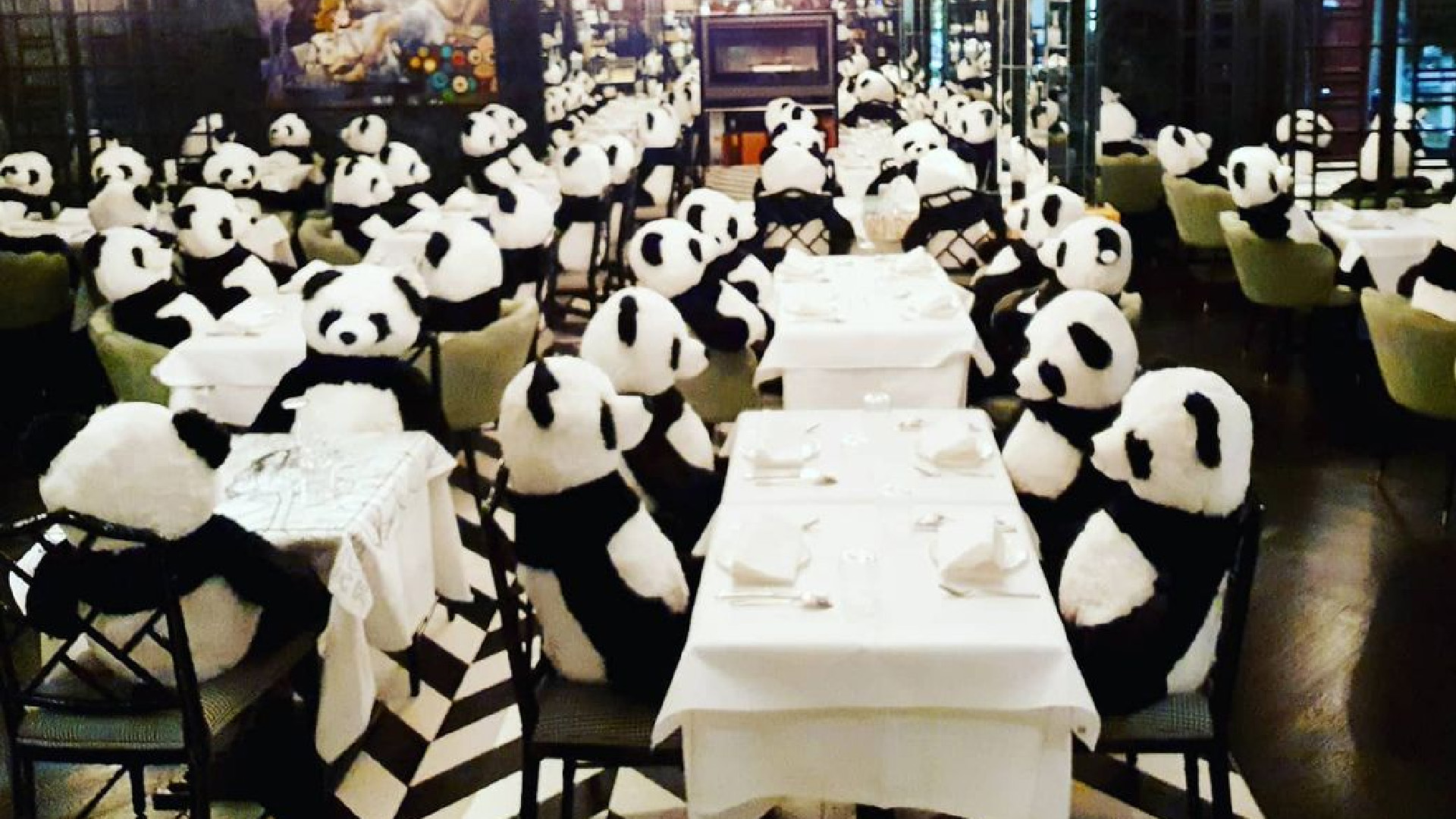 Restaurante protesta contra la cuarentena con osos de peluche - restaurante-protesta-con-osos-de-peluche-contra-la-cuarentena-decretada-en-alemania-foto-ig-pinofrankfurt