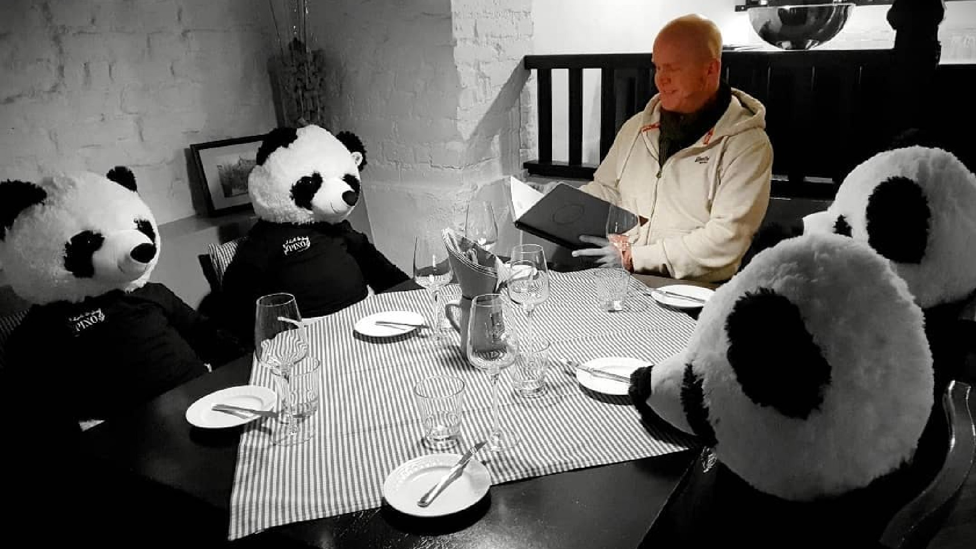 Restaurante protesta contra la cuarentena con osos de peluche