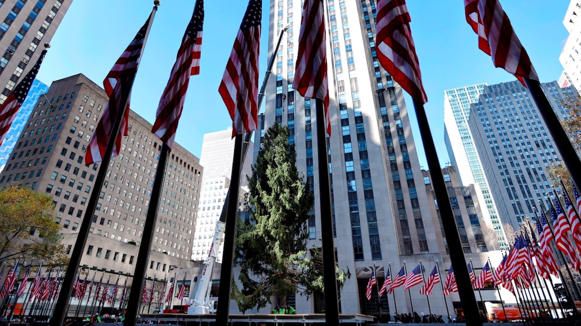 #Video Llega el árbol navideño al Rockefeller Center