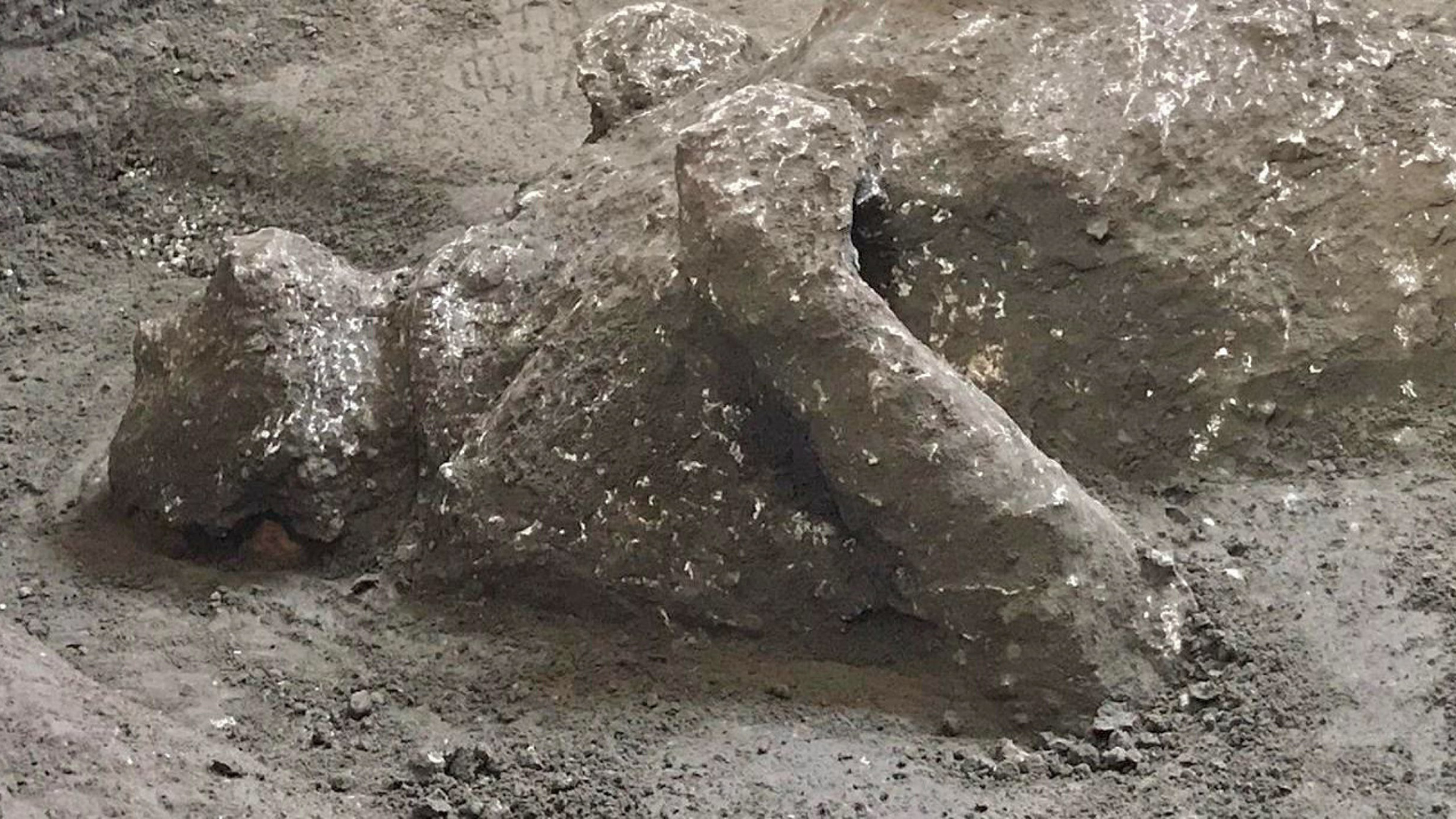 Hallan en Pompeya cuerpos de dos víctimas de erupción del Vesubio - victima-de-la-erupcion-del-vesubio