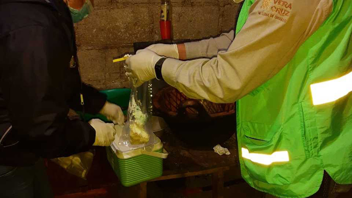 Asisten a fiesta durante pandemia de COVID-19 en Veracruz y terminan intoxicados