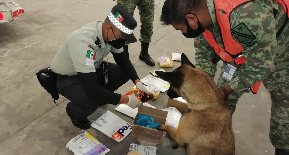 Ejército decomisa en Puebla y Edomex cargamentos de mariguana y fentanilo con valor de 327 mdp - aseguramiento-sedena-ejercito-mexicano-droga-toluca-puebla-2