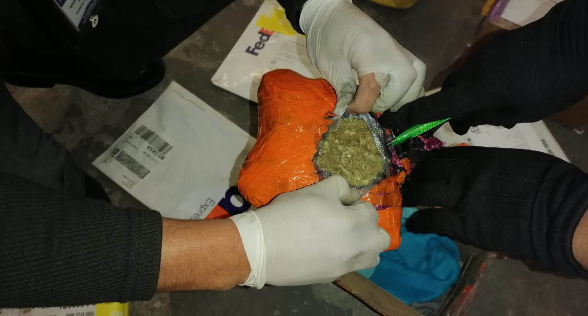 Ejército decomisa en Puebla y Edomex cargamentos de mariguana y fentanilo con valor de 327 mdp - aseguramiento-sedena-ejercito-mexicano-droga-toluca-puebla-3