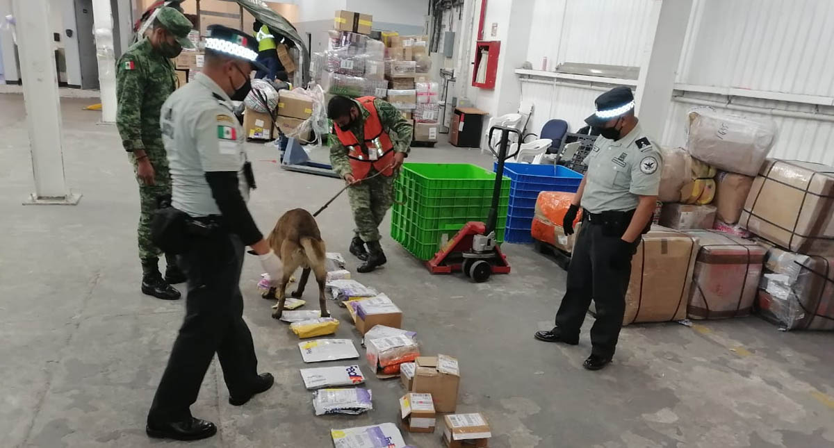 Ejército decomisa en Puebla y Edomex cargamentos de mariguana y fentanilo con valor de 327 mdp