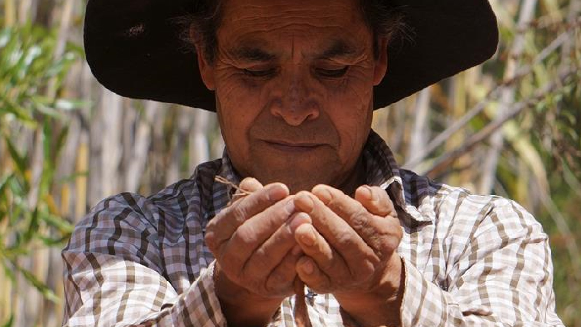 Campesinos rescatan "paraíso mixteco" en Oaxaca; la tierra se encontraba erosionada - campesinos-rescatan-zona-erosionada-en-el-sur-de-mexico-ahora-es-un-paraiso-mixteco-cuenta-maestro-rural-y-campesino-foto-efe