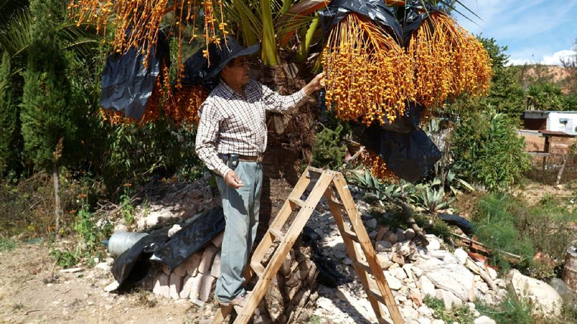 Campesinos rescatan “paraíso mixteco” en Oaxaca; la tierra se encontraba erosionada