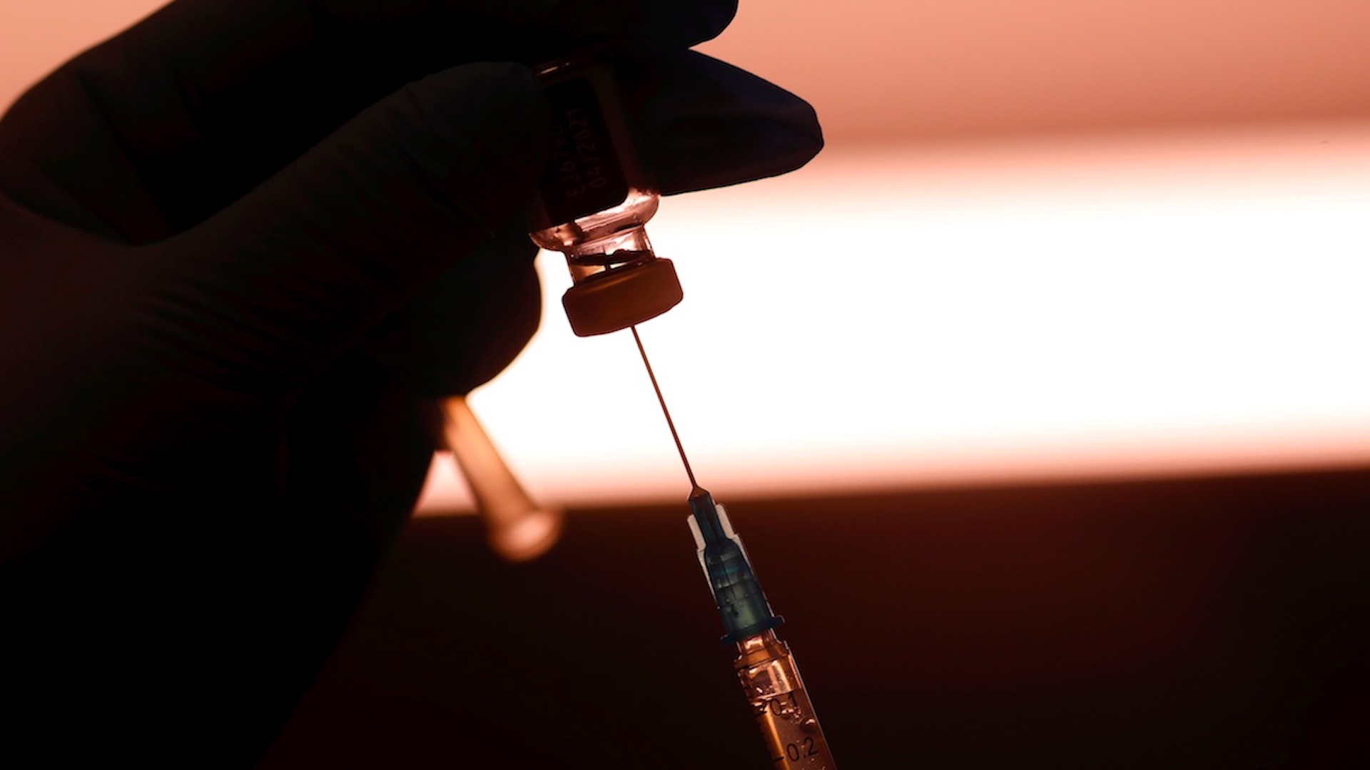 Merkel, abierta a explorar con Rusia producción conjunta de vacuna contra COVID-19