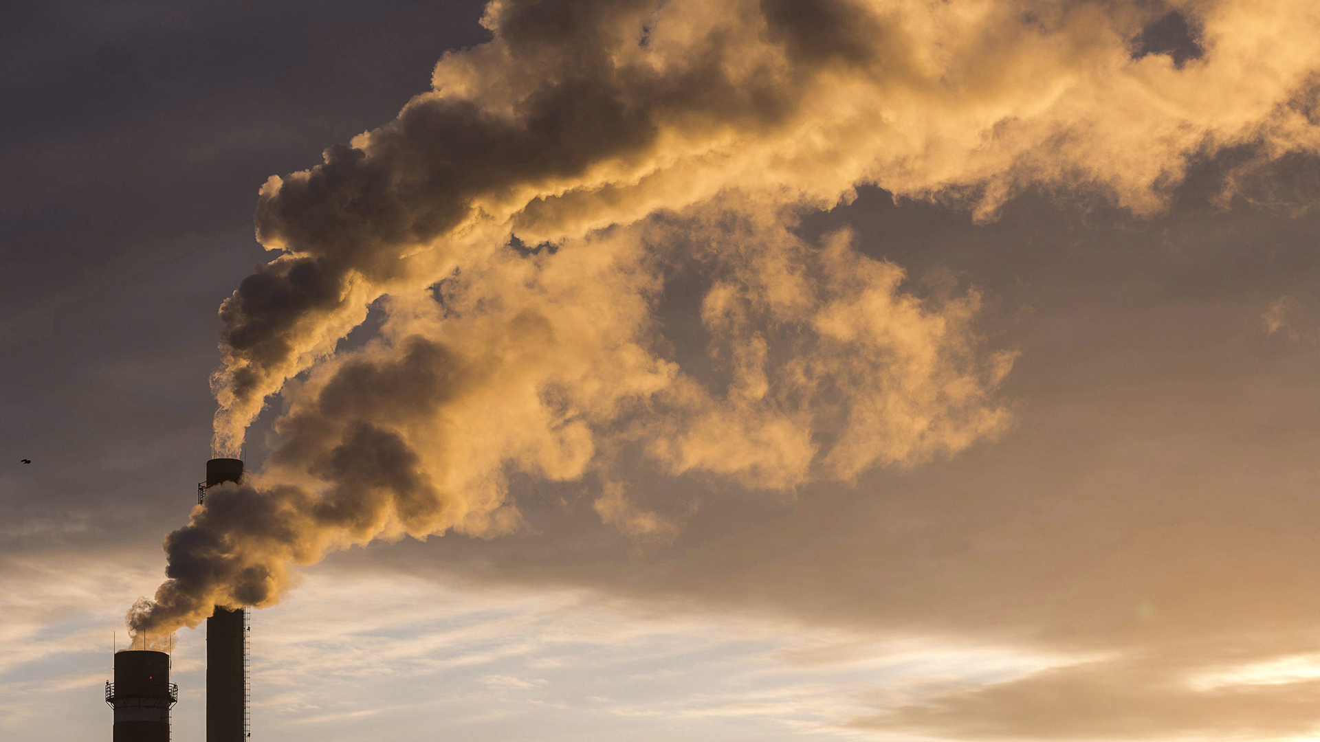 Pandemia reduce 7 por ciento emisión de CO2, insuficiente contra la crisis climática Pandemia reduce 7 por ciento emisión de CO2, insuficiente contra la crisis climática