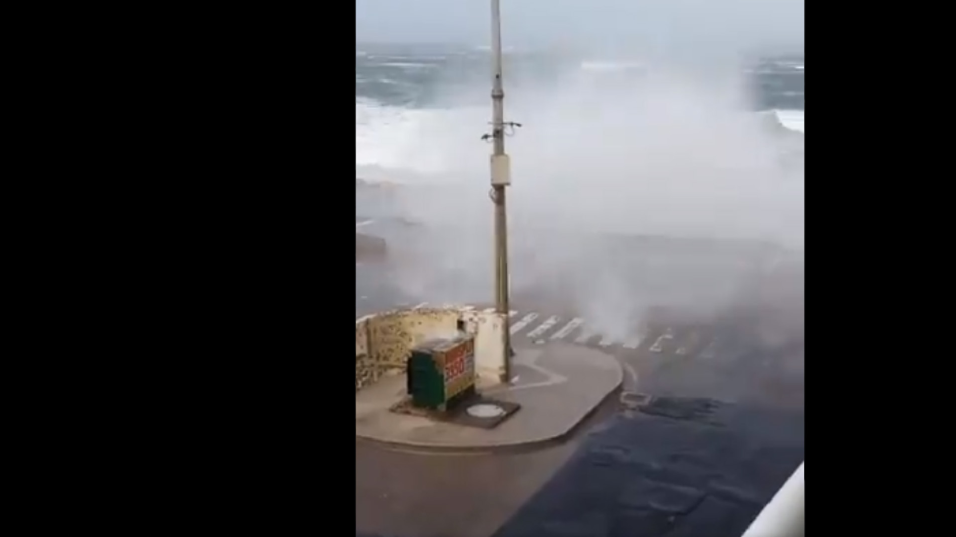 #VIDEO Fuertes rachas de viento levantan olas en puerto de Veracruz y desprende árboles por frente frío número 23