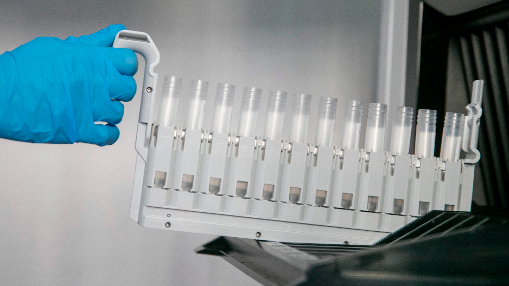 Mutaciones de COVID-19 halladas en Jalisco podrían ser locales: UdeG Mutaciones de COVID-19 halladas en Jalisco podrían ser locales: UdeG