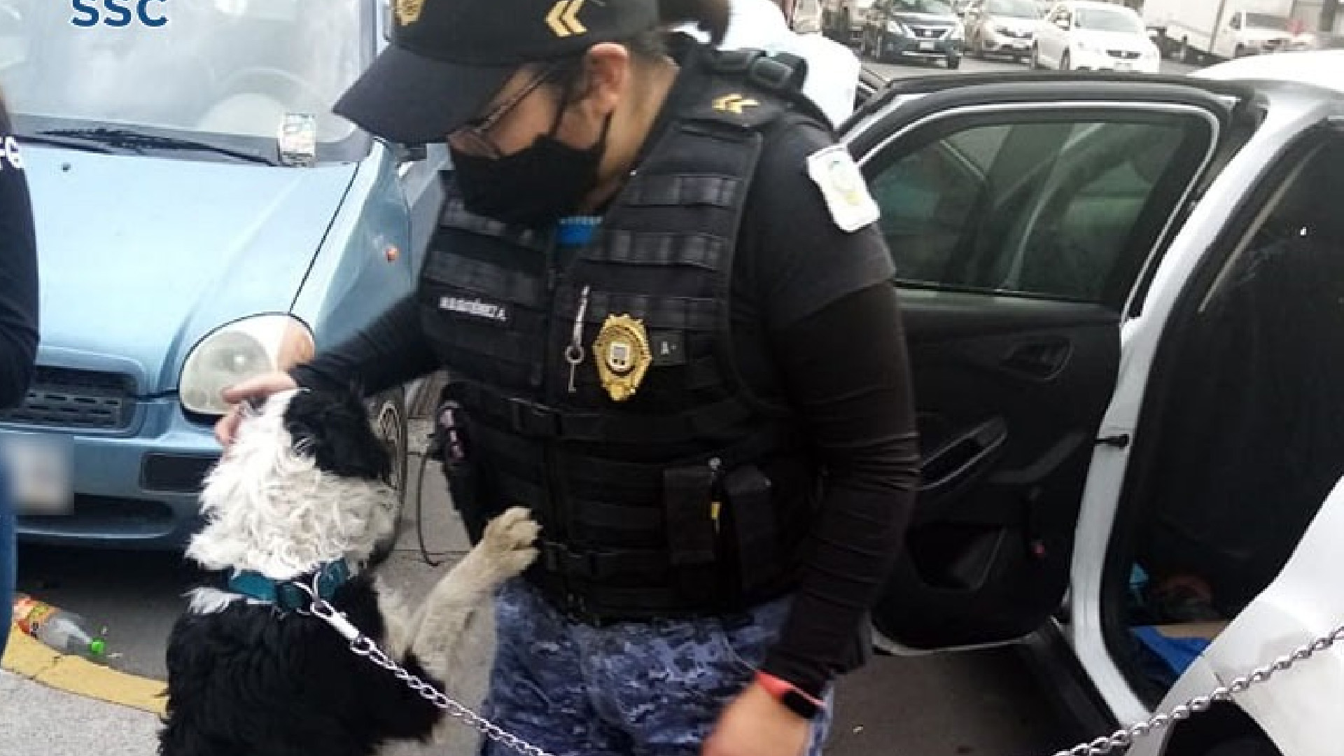 Policías rescatan a perro encerrado en vehículo en la Miguel Hidalgo