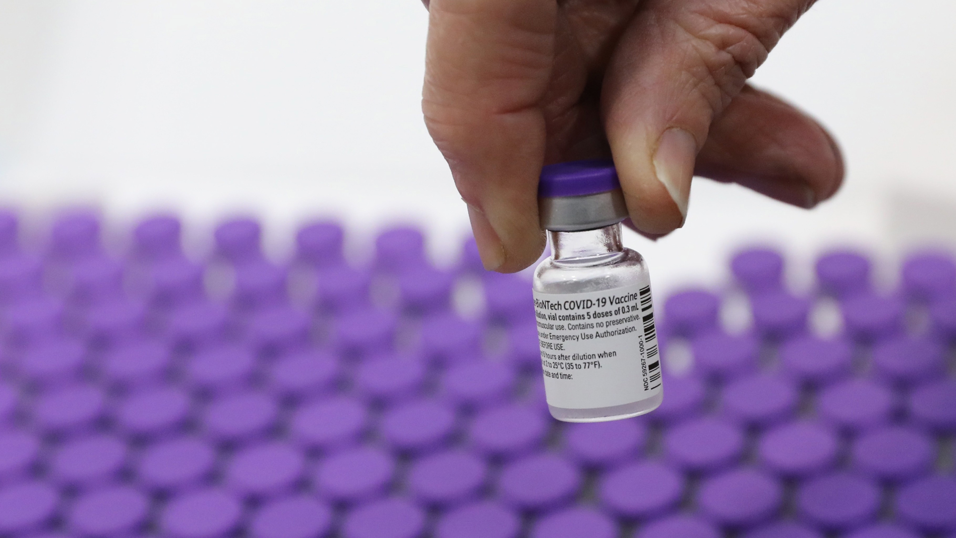 Nuevo lote de vacunas de Pfizer llegará a México el 16 de febrero; serán para personal médico