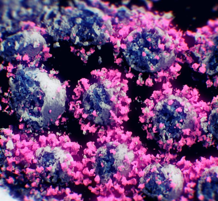 Logran la primera imagen real del coronavirus en tres dimensiones - 1f3a6714d7197f73b11ed69c4623fc6d46f6ce66w
