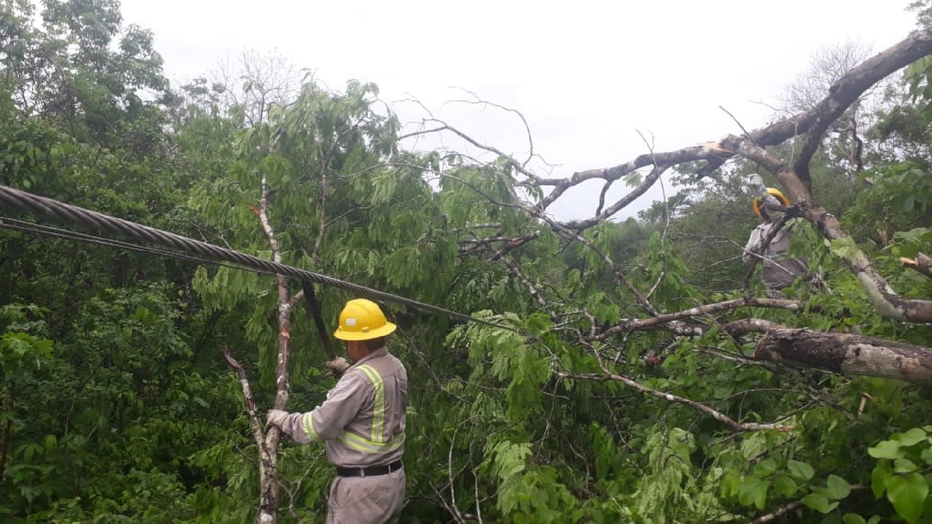 Alianza Federalista exige sanciones por difusión de comunicado presentado por CFE sobre apagón masivo