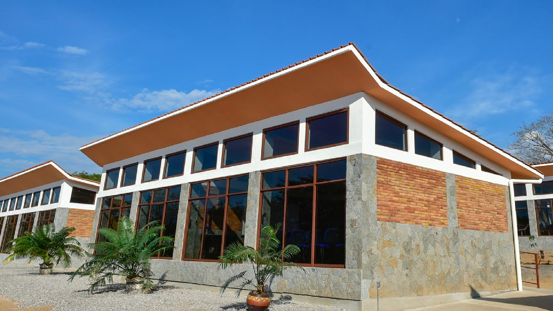 AMLO inaugura escuela pública de Medicina en Guerrero; resalta que ya hay 140 universidades de programa federal - amlo-inaugura-escuela-publica-de-medicina-en-guerrero-resalta-que-ya-hay-140-de-universidades-programa-federal-foto