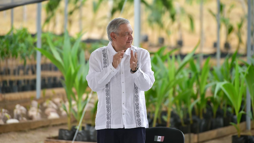 Estados Unidos, sin interés en extender Sembrando Vida a Centroamérica Estados Unidos, sin interés en extender Sembrando Vida a Centroamérica