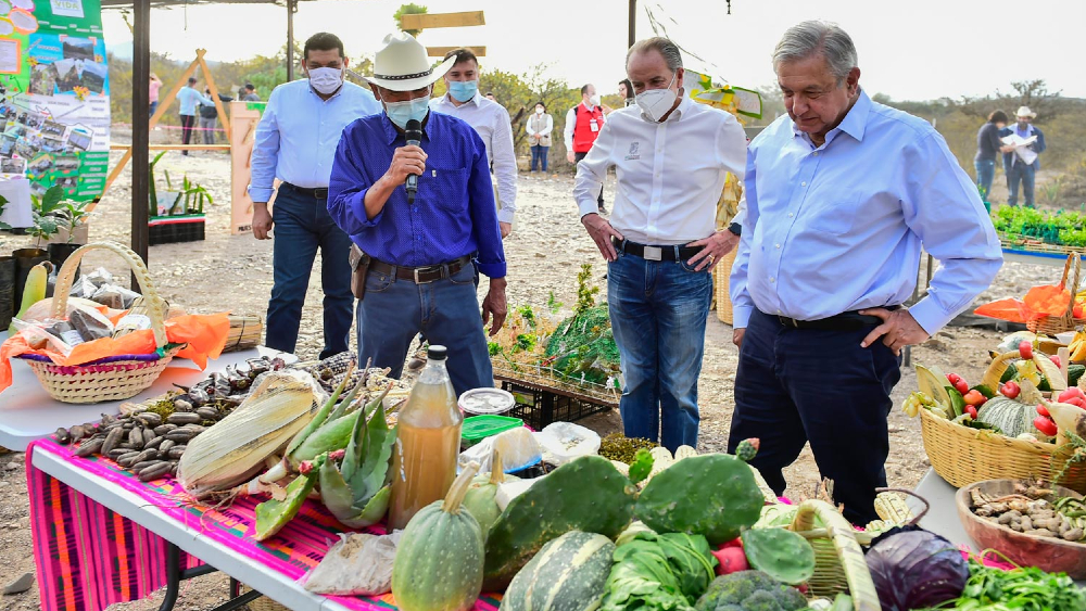 AMLO estima un crecimiento económico para México de entre 4 y 5 por ciento