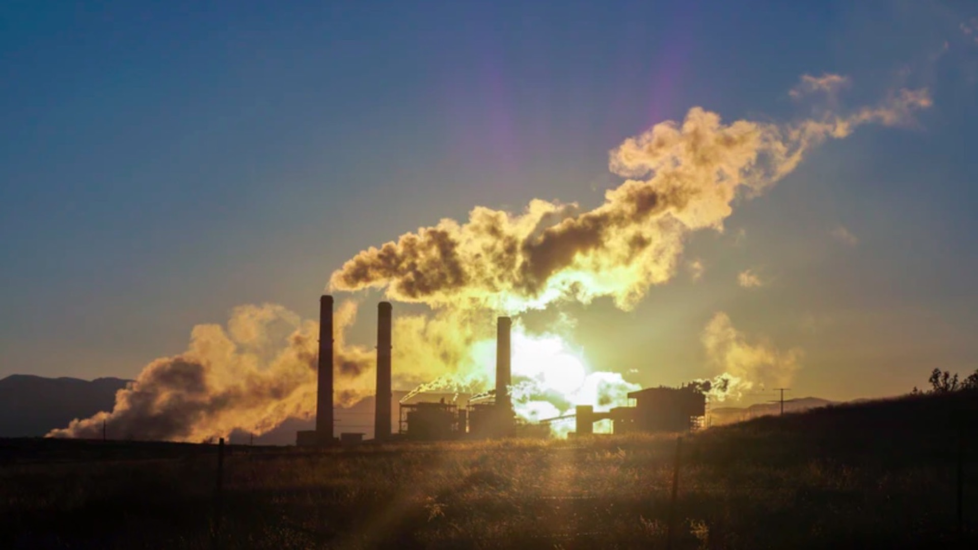 El 2020 empata con el 2016 como los años más calientes de los que se tiene registro