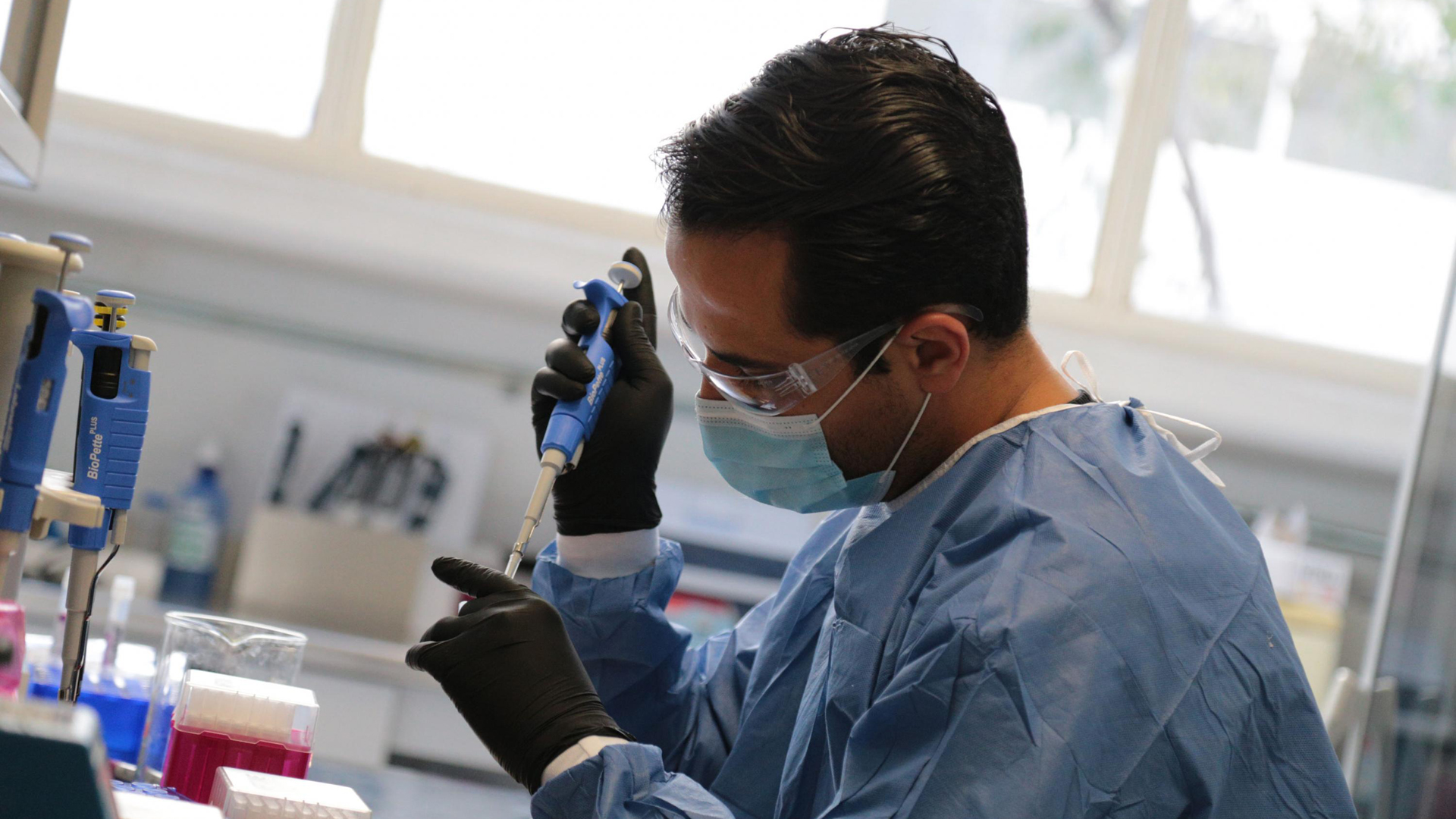 Herramienta facilita la detección de nuevas variantes del SARS-CoV-2 - detectan-academicos-de-la-udeg-variacion-del-virus-sars-cov-2