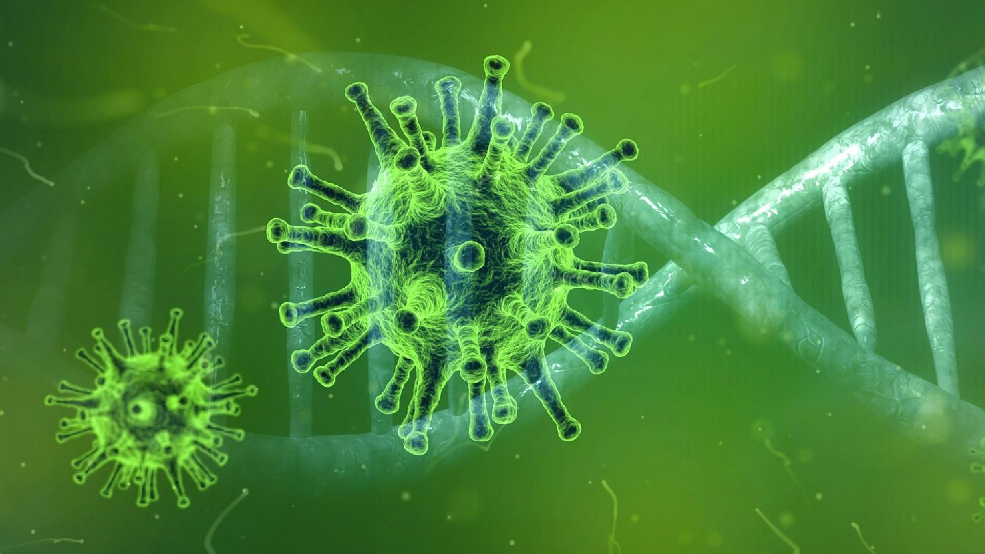 El 95 por ciento de personas con COVID-19 desarrolla anticuerpos: estudio