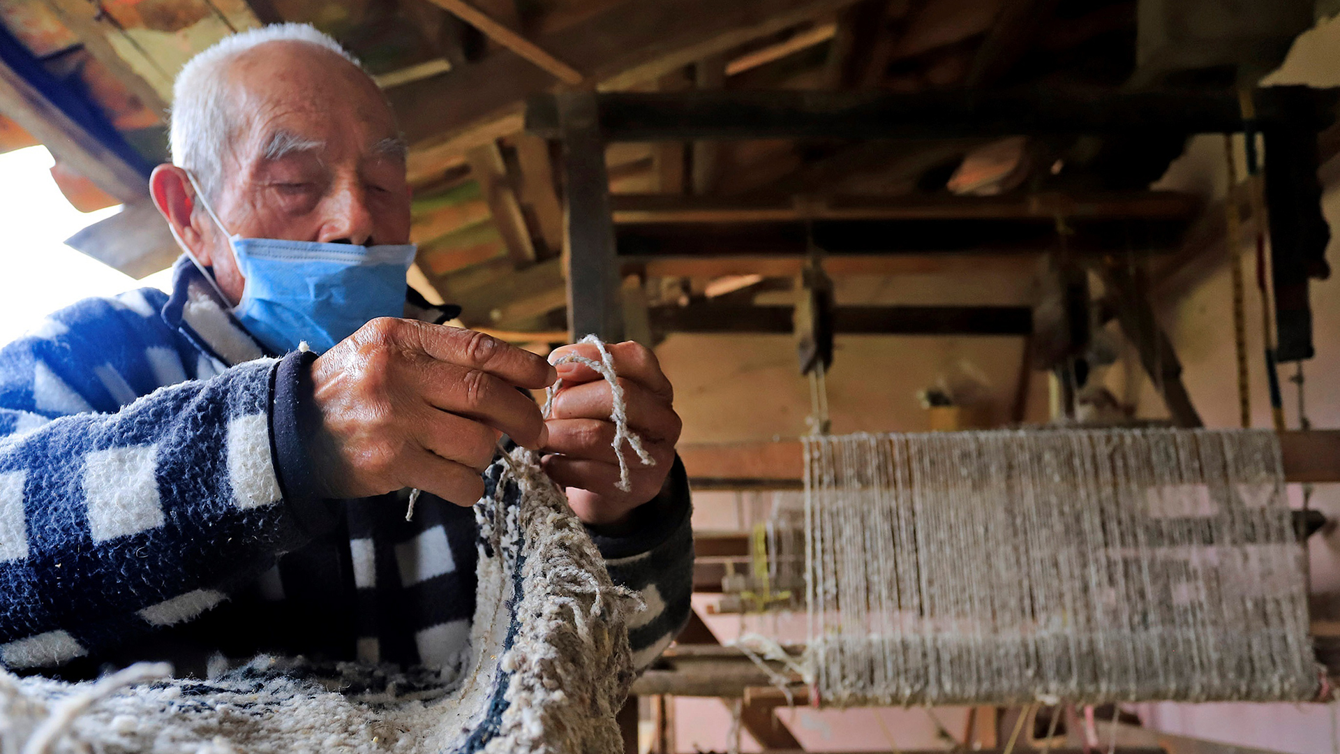 Las cotorinas, prendas mexicanas únicas en peligro de extinción