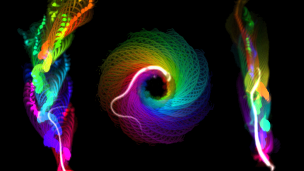 Hallada una alteración que explica algunas formas de infertilidad masculina