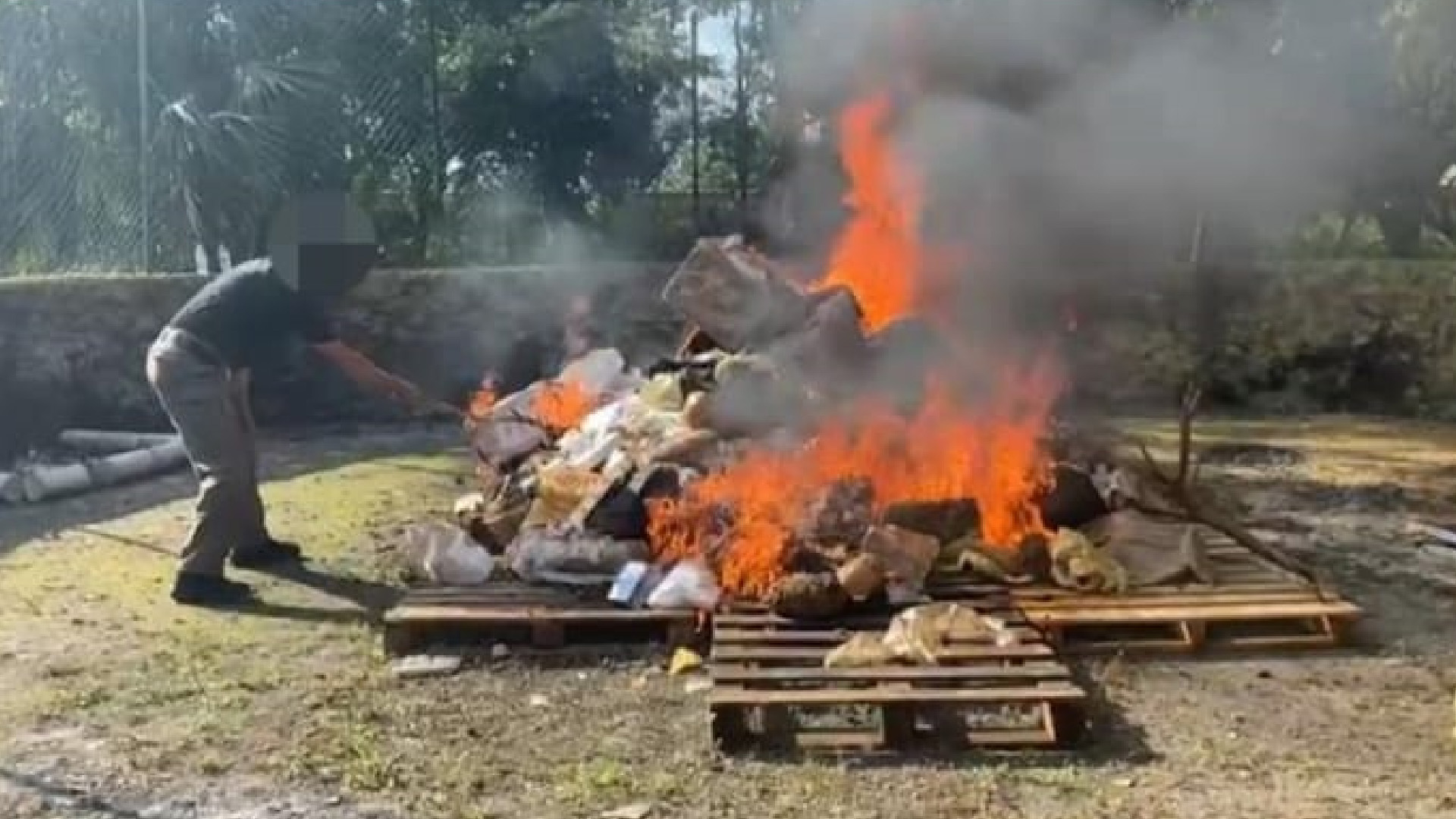 FGR incinera más de media tonelada de narcóticos y objetos del delito en Quintana Roo