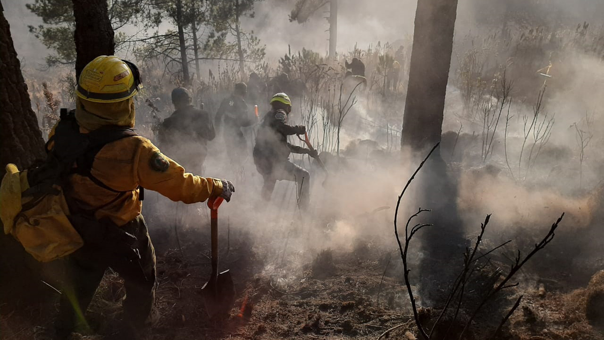 Incendio En Parque Izta-Popo Afectó 367 Hectáreas De Vegetación