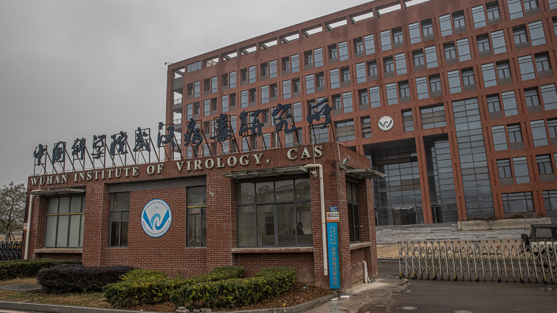 En busca del origen del COVID-19: la OMS inicia su misión en China