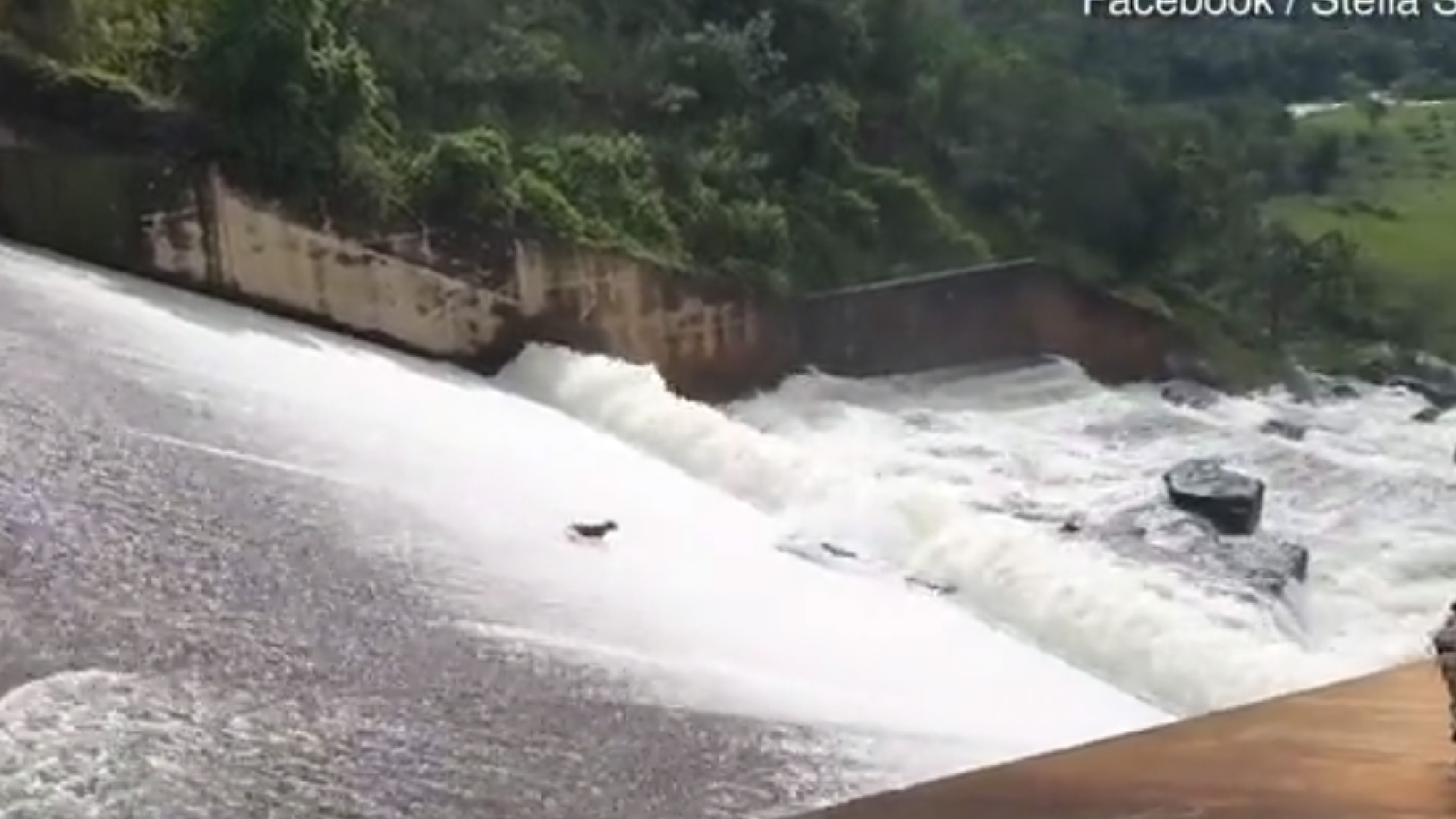 #Video Hombre arriesga su vida para salvar a perro arrastrado por el agua