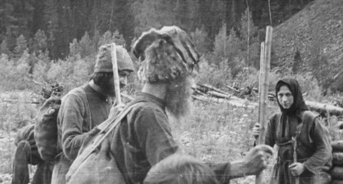 Un lugar llamado “Taiga”