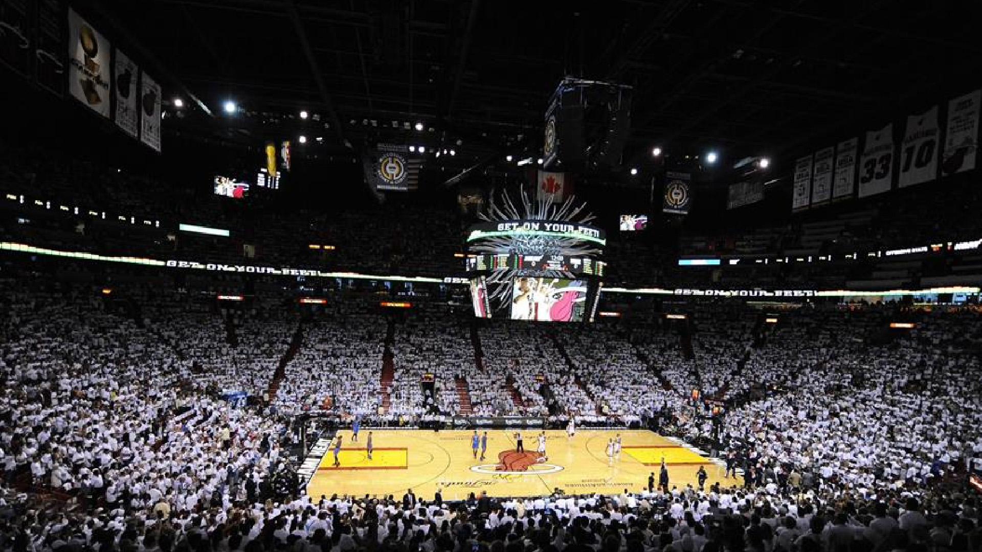 ‘Miami Heat’ usará perros para detectar casos de COVID-19 en su estadio