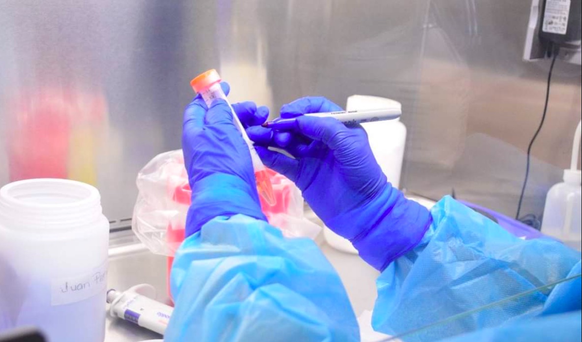 Confirman dos casos más de ómicron en Tamaulipas; suman tres contagios