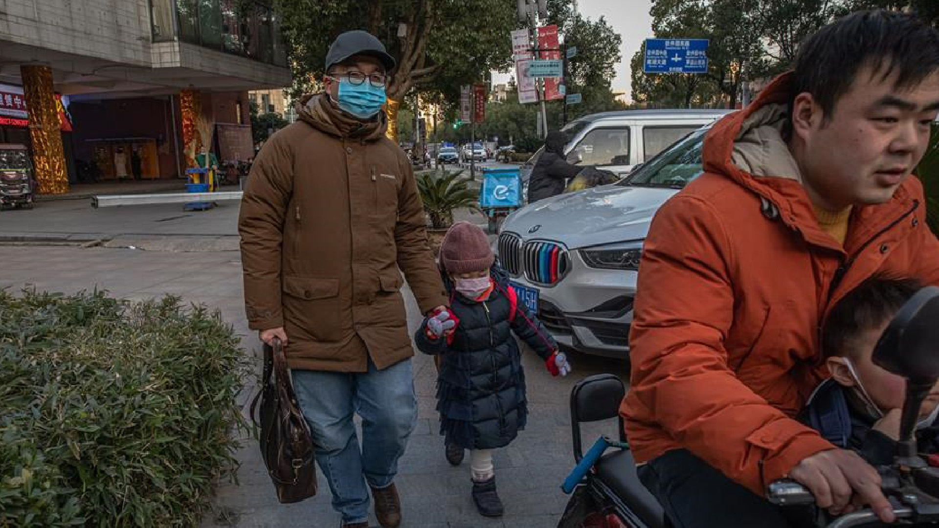 OMS y China sin acuerdo sobre misión para investigar origen del COVID-19