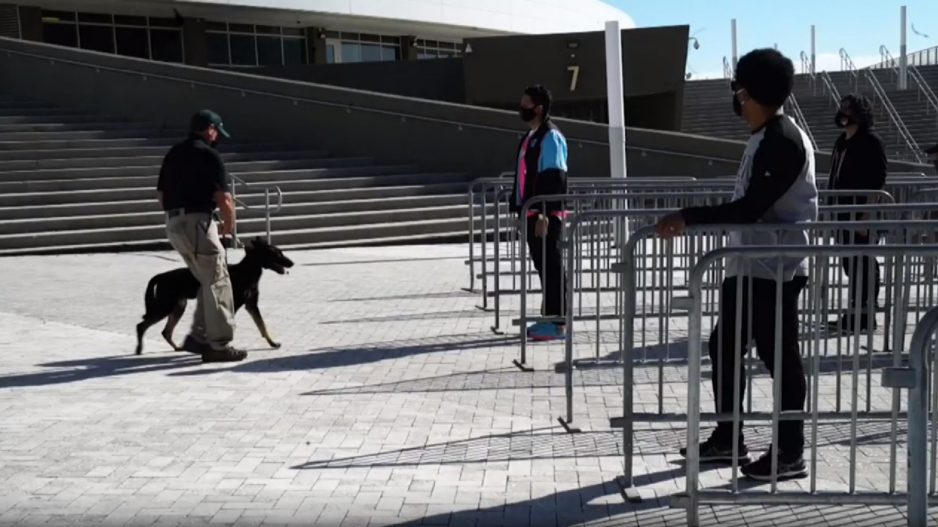 'Miami Heat' usará perros para detectar casos de COVID-19 en su estadio - perros-miami