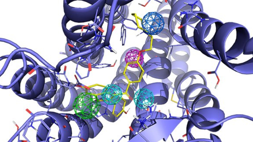 Estudio destaca la eficacia del raloxifeno en inflamaciones asociadas a COVID-19