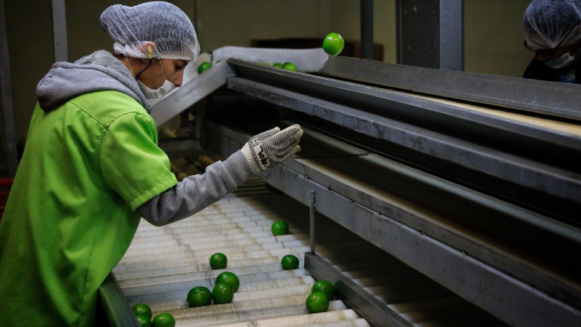 Sector agroalimentario de México registra superávit pese a pandemia: CNA