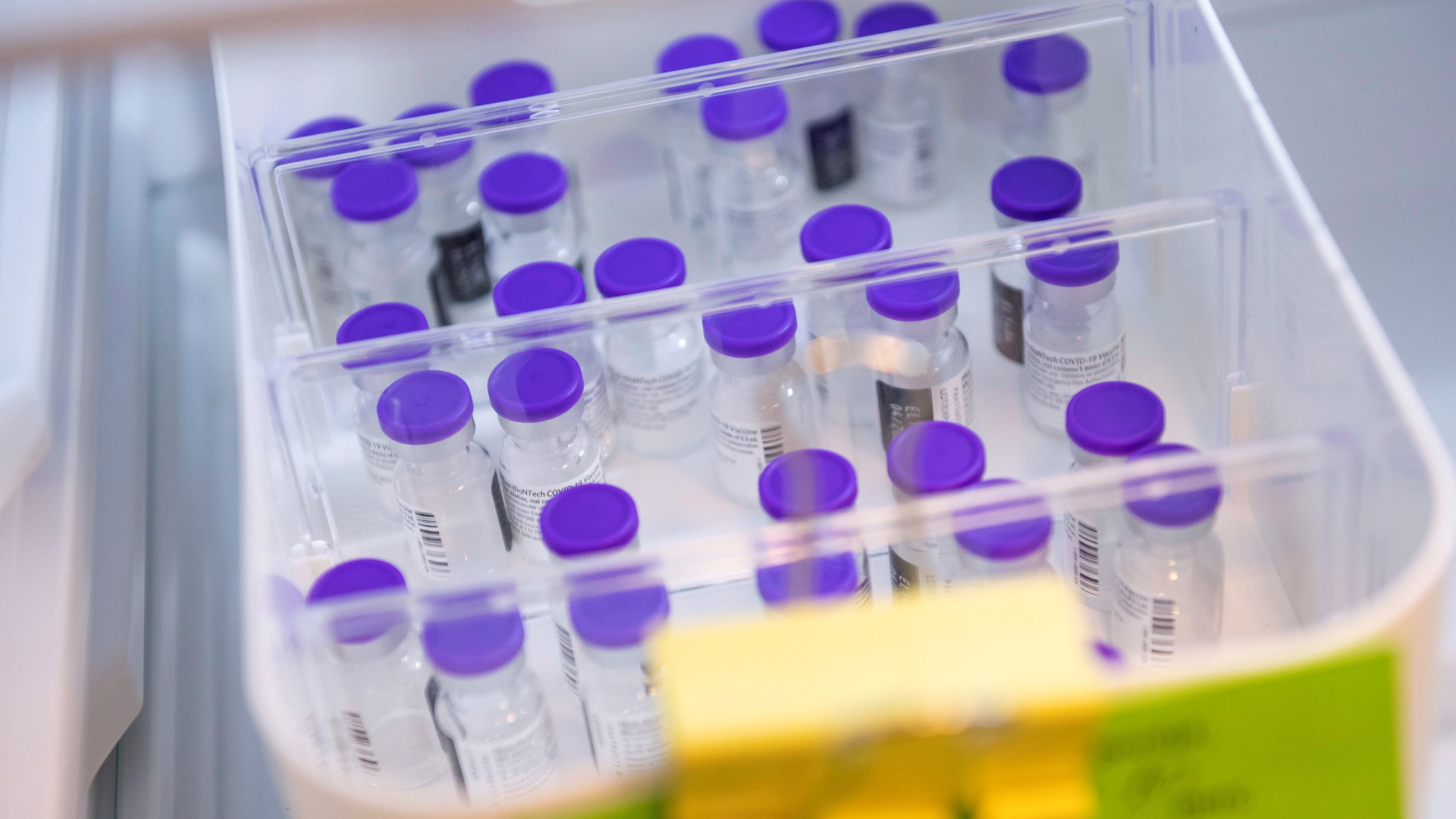 Descontinúa farmacéutica MSD desarrollo de dos vacunas contra COVID-19