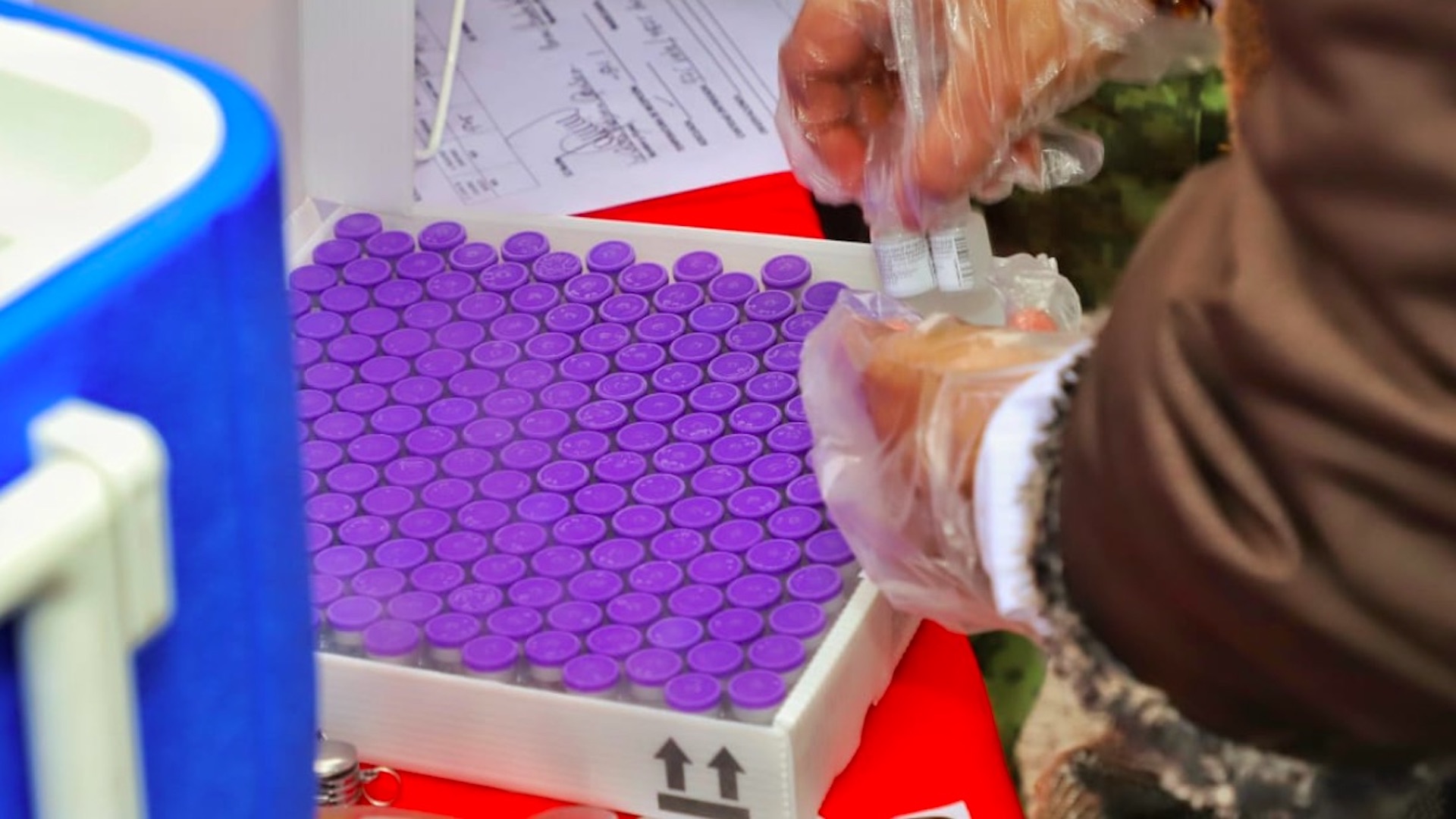 Gobernadores listos para adquirir la vacuna contra el COVID-19